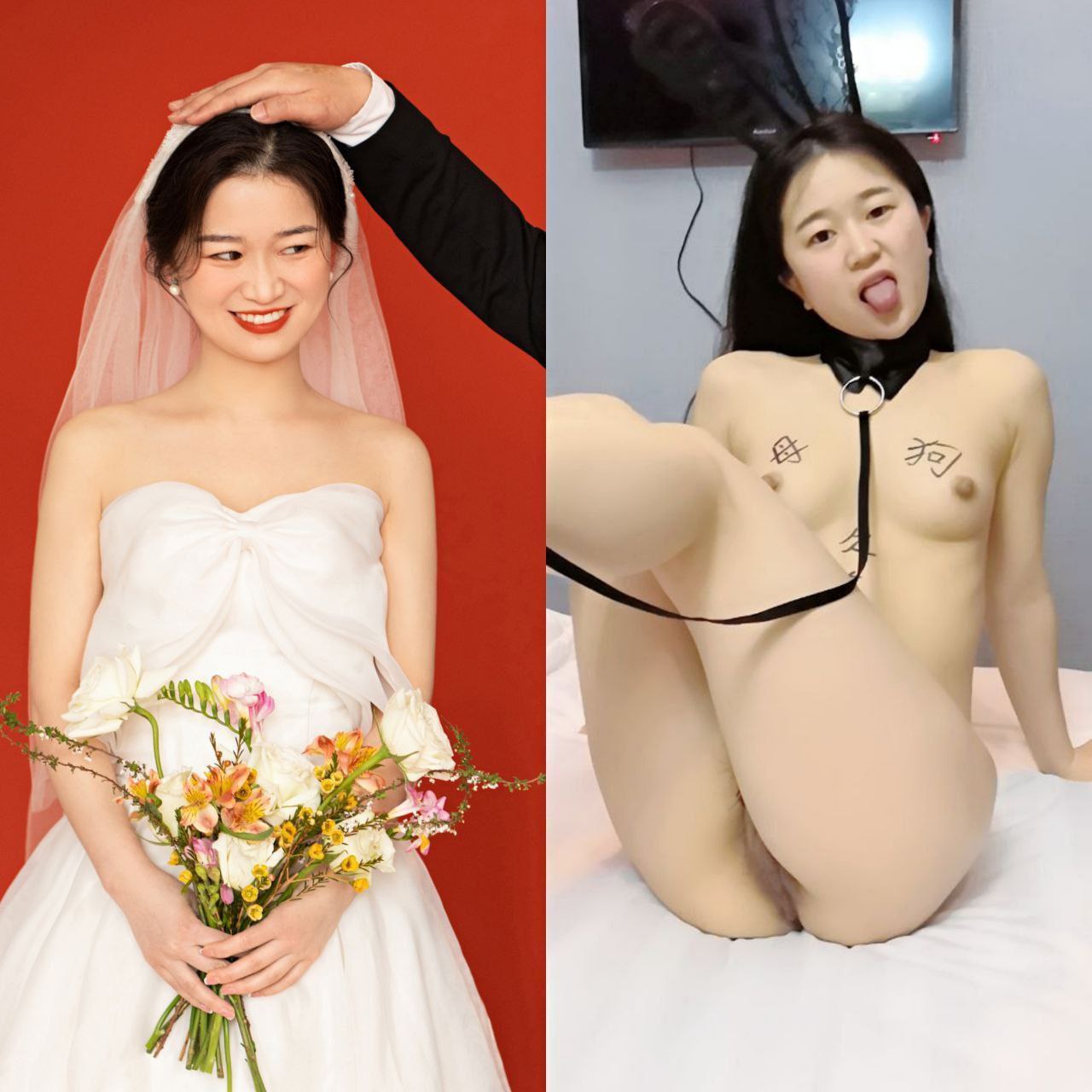 ฝึกสุนัขตัวเมียที่โดดเด่น [10P]