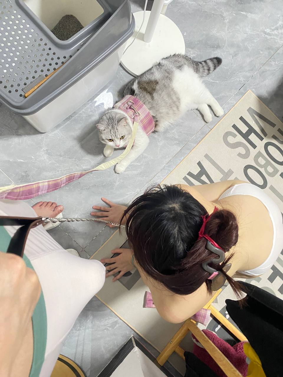หีของสาวตุ้งติ้งเป็นสีชมพูมาก[16P]